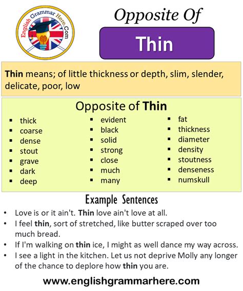 thin antonym|meaning of skinny.